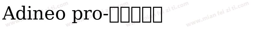 Adineo pro字体转换